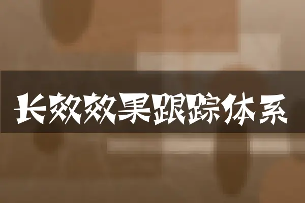 长效效果跟踪体系